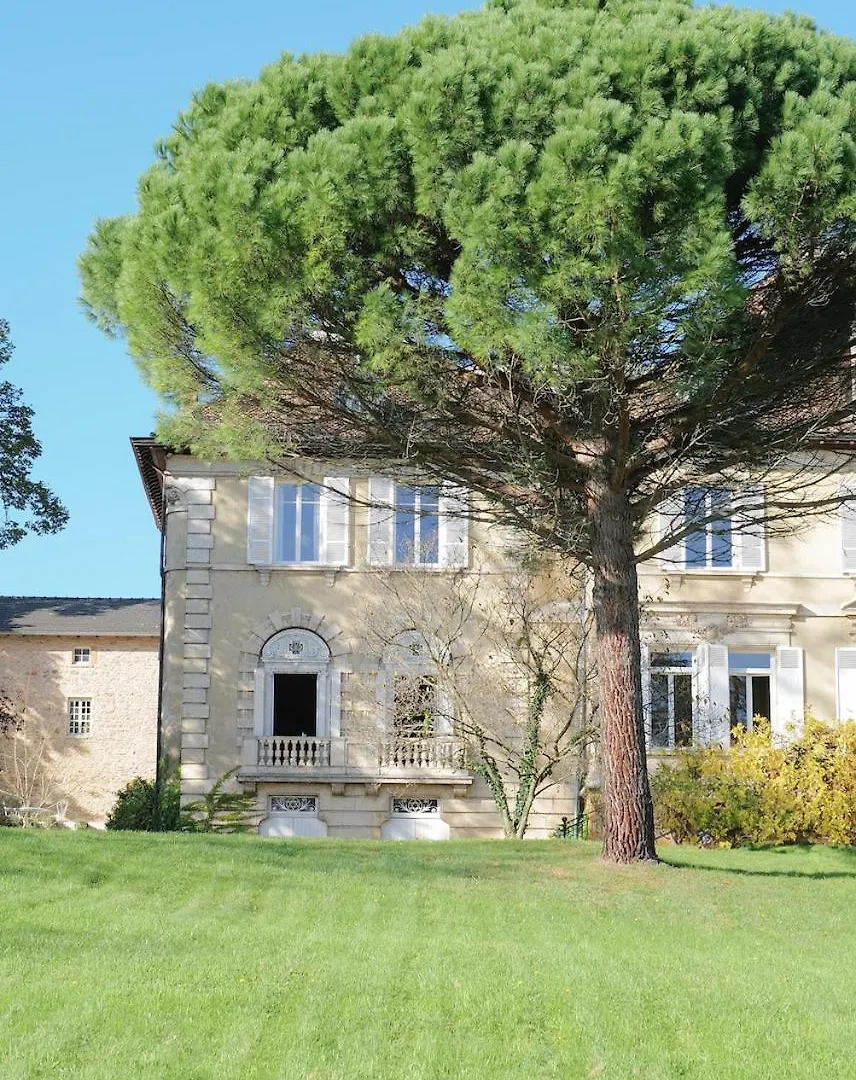 Chateau Du Bost, 21 Personnes, Piscine, Beaujolais Blace Франция